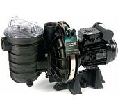 S5P2RC-1 0.75hp 0.55kW Sta-Rite Pool Pump